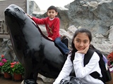 [Click for large photo]